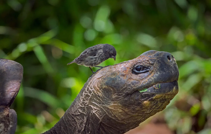 �� ���������, ���������! ������ ������� ���� ����������� ������!