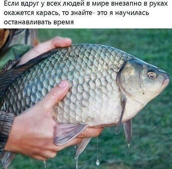 ����� ������������, � ������ �������