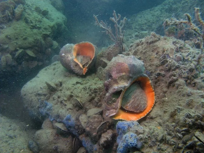 � �������, ����� �� ��� ������ �� ����? � �������, �� �� � ��� ���� � ����... � � ���� � ������, � ׸����!