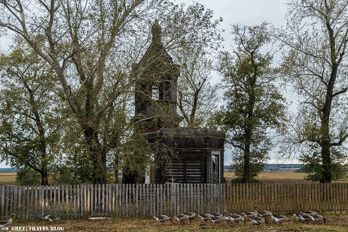 ��������������������� ��������: ���������� ������� � ���������. ����: �������� �������� 