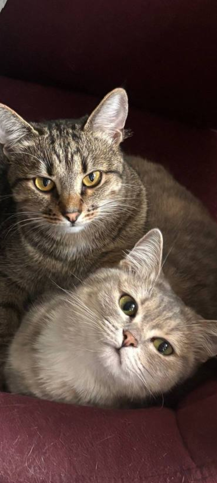 Двушка в центре