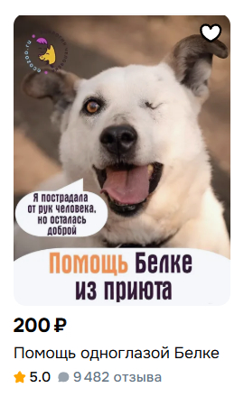*Одноглазая собака утверждает, что пострадала от рук человека, но осталась доброй*