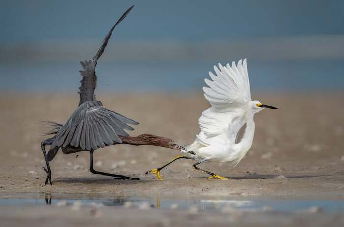 ��������� ����� ��������� ����� ������������ ����� � ����� ������ �����