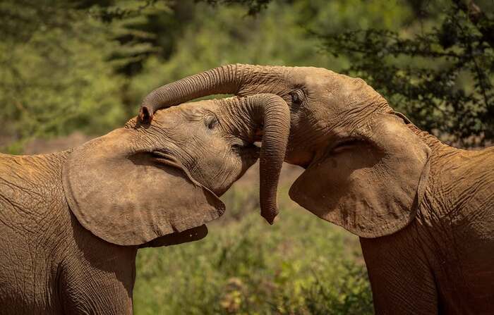 ���������