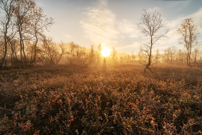 Утренняя прогулка. Долина Малого Вудъявра