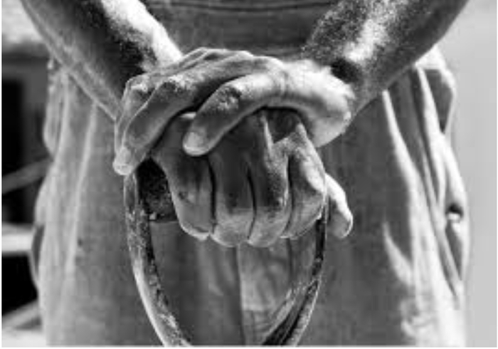 ���� ��������