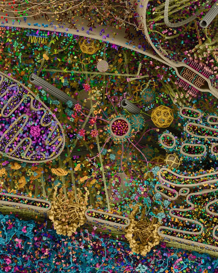 ��� �������� ��������� ����������� ������������ ������ �� ����������� ����