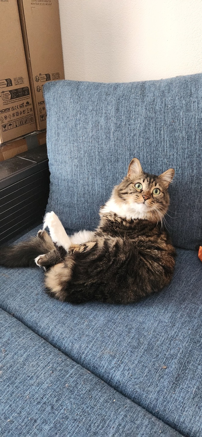 Ежедневный Рислинг #205