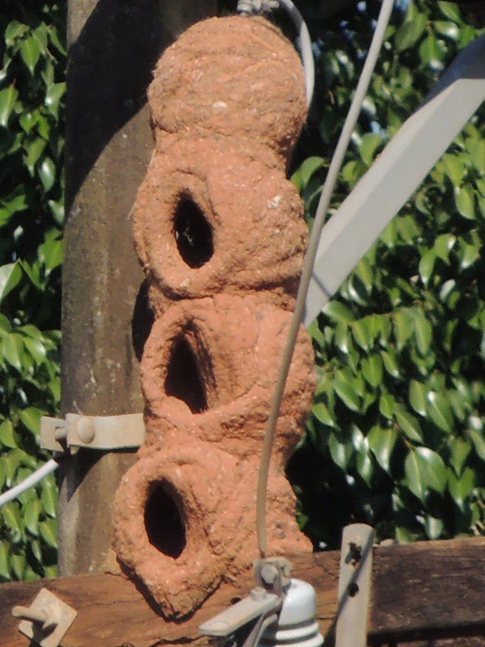 ���, ������������.