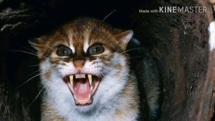 ������������ ����� �� ����� ����� � ������� � �� ����. � � �������� ��������� � �� ���������� �� � �����!