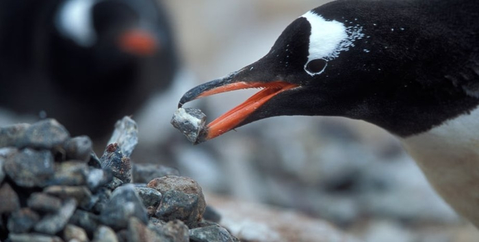 ��������� ����� ��� ���������� �����!