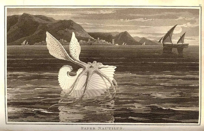 ���������� ������� ��� ��-�� ������� �����������. ������ ���������, ��� ��� ������� �� ������� ����������, ��������� ���� �������� � �������� �����.