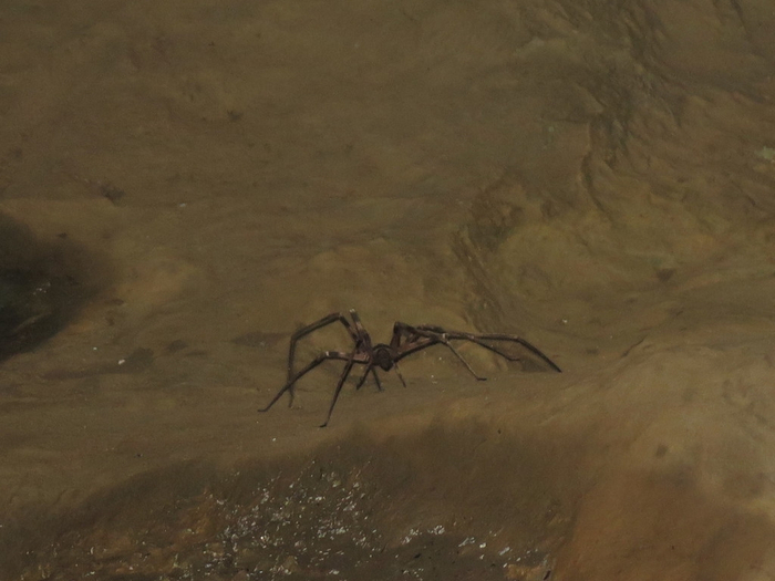 ��� ����� ���� �� ������ ������ ������.