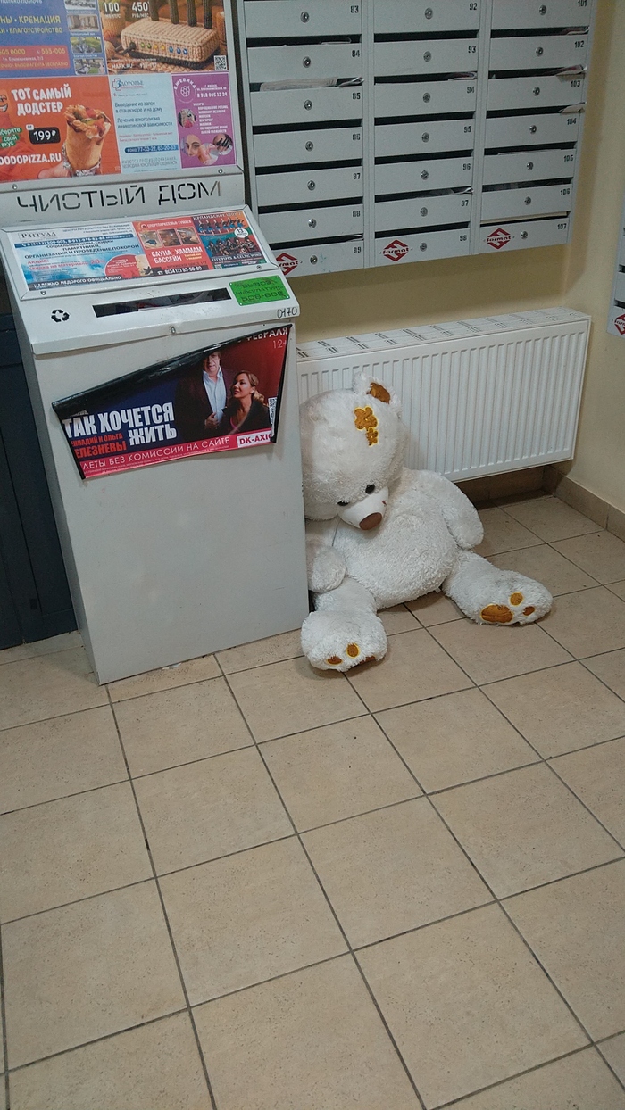 ��� ���������