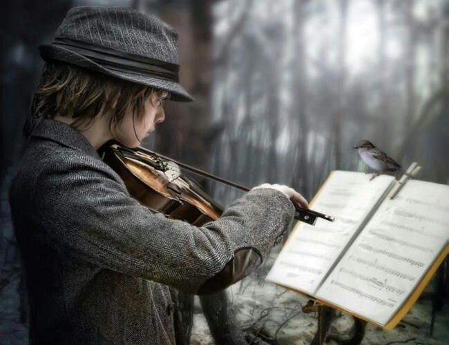 Партитура для читателя