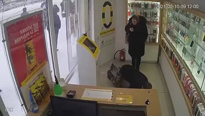 ������������