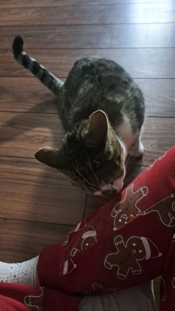 ��� ���. ���� ������ ������ ���... ������ ��� � ������� �������� ��������.. � ������ � ������ � ����� ����...