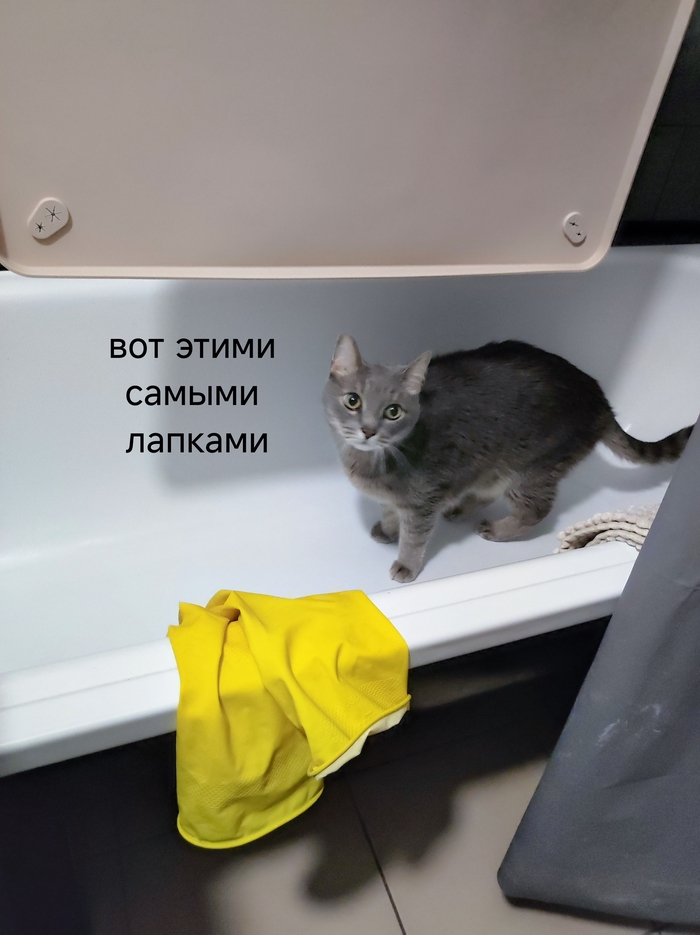 Вот кто на самом деле