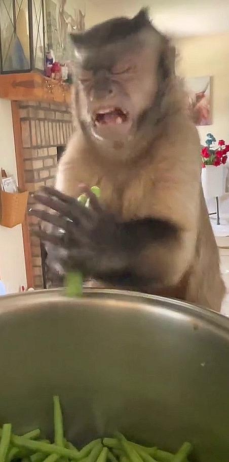 ��� ������, ��� � �������� �����? - ���, � �� �������� �����. ������ � ����� �����