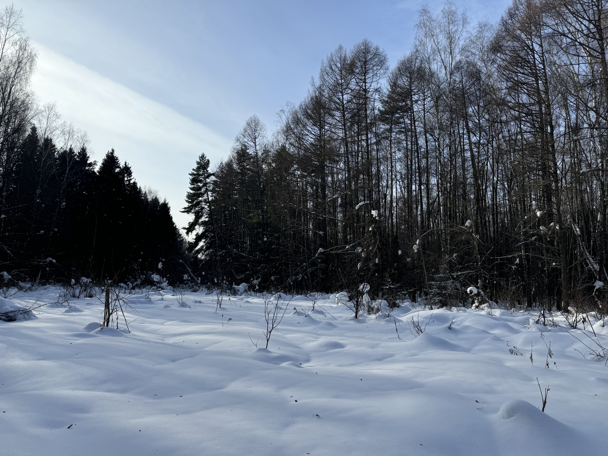 From Mytishchi to Korolev via Losiny Island - Series Photographs
, My, Mobile photography, Street photography, Beautiful view, Elk Island, Beginning photographer, Winter, Snow, Mytischi, City of Queens, Moscow region, The photo, Pond, Longpost