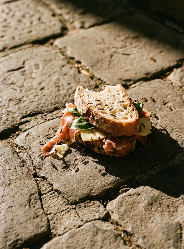 ����� ����