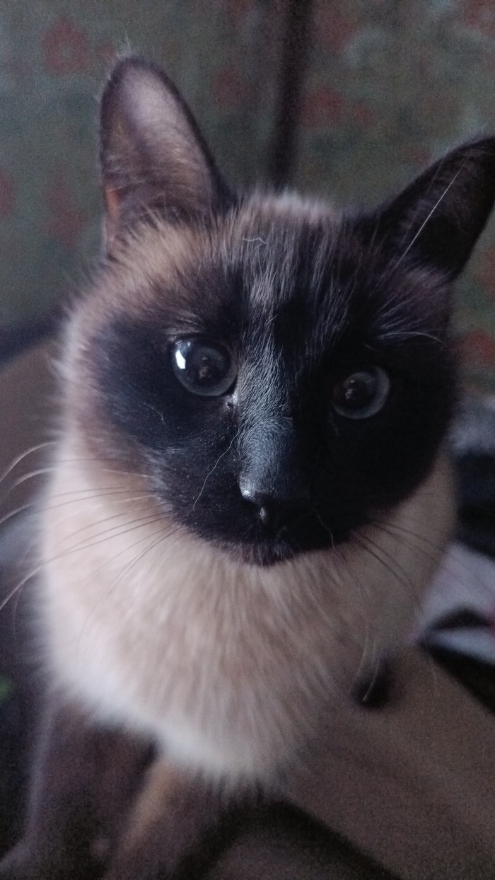 ������� ����������� �� ������ �� ���� � ������ ���������� �� ������ ����������, ��� ��� � ����� ������� ��������� ���������������