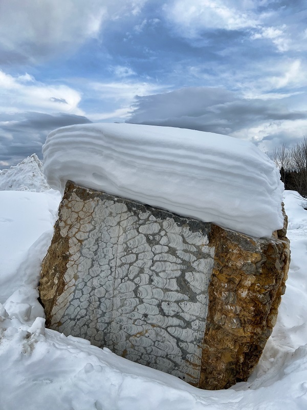 ��������������� ������ � ����������� �������. ����: ���������� �����������