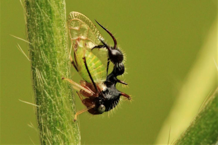 ��� �� �����, ����� ������ �����.