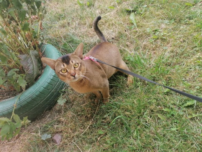 ϸ� � �������� �����.