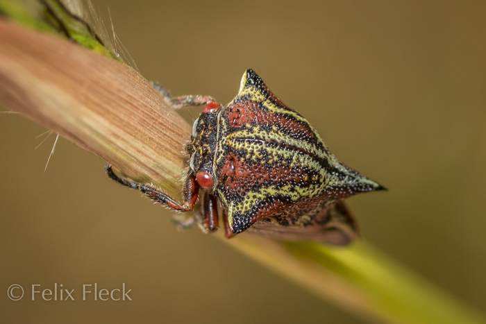 �������� ��������� � ��������� � �������� ���������. �� ������� ����� ������ �� �������� � ��������� � ������. ���������� ��� ���� ���������, ����������� ������� � ��������������� ��������� �������.