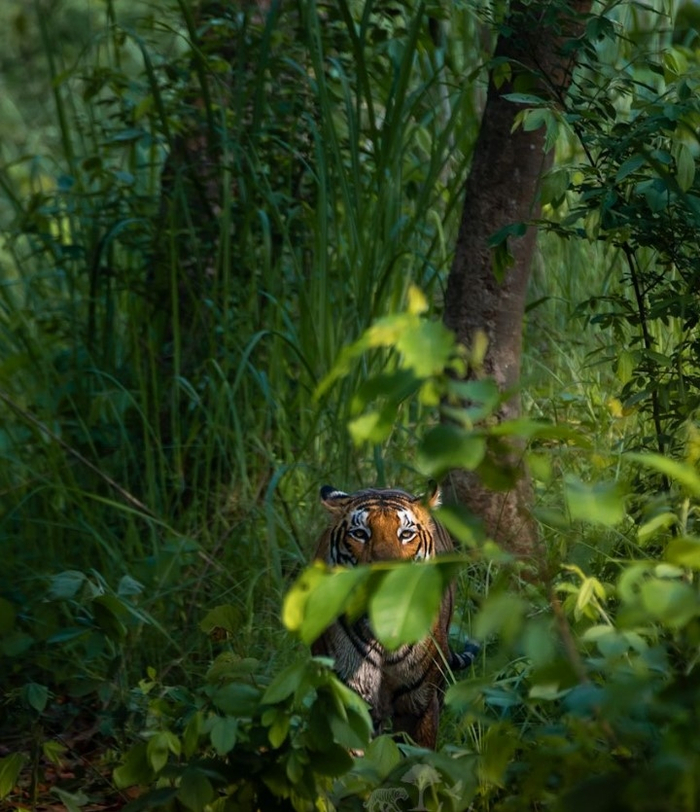 ��� �� ����� ������, ����� �� ����� � �����.