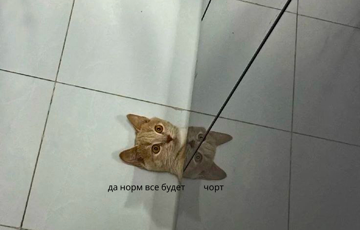 ������� ������� ��� �������� � ������