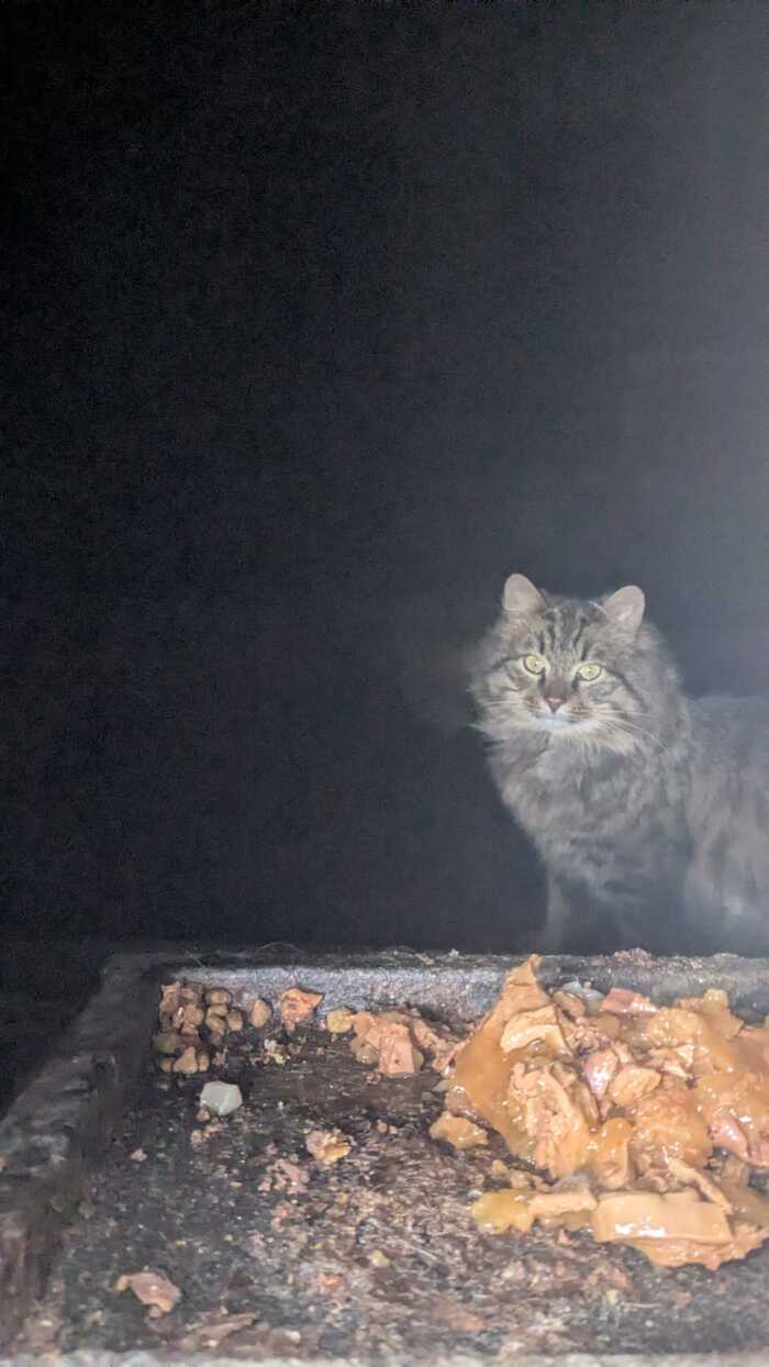 ���������? ���� ������ ��� ����� ������!