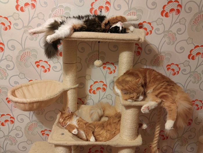 ��� ��� ������ ������������ ���������� :)