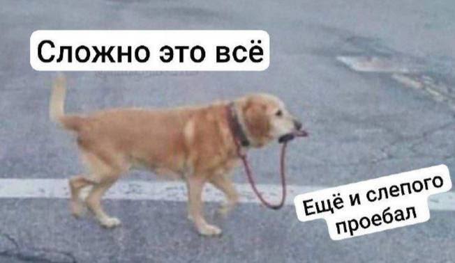 ����� ����