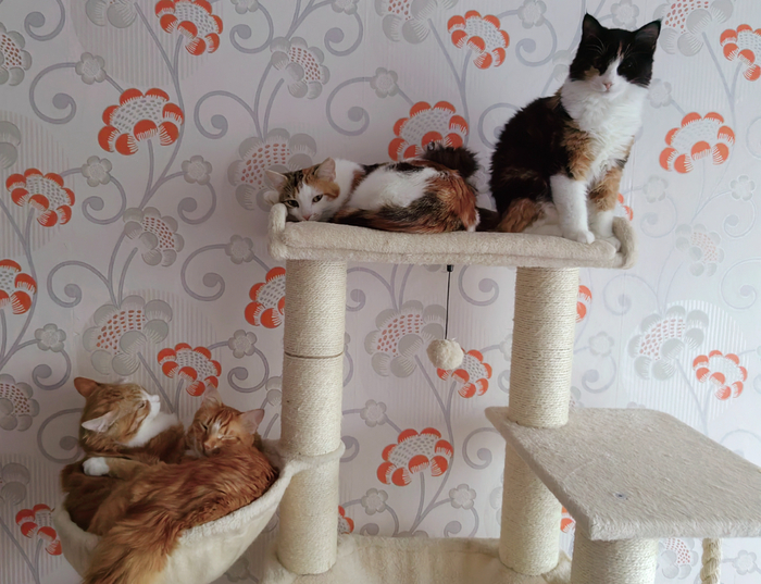 ������� ����� ������� ������ � ��������� :) ����� ��� ����� ������� � ������ ��� ������ ����!