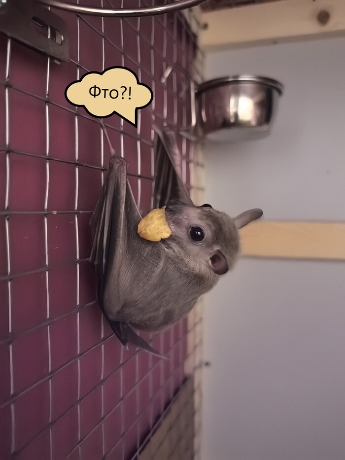 ������� �������� �������, �������� �� ��� �������� ������. ���� ������������� �� ������!