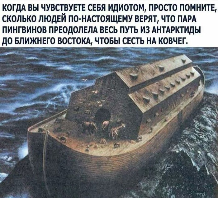 ���� ������