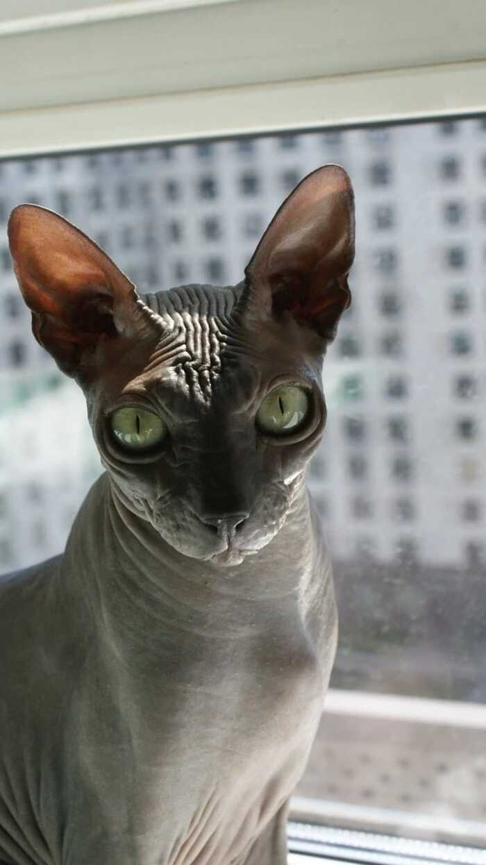 ������� ������