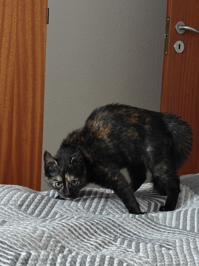 Ответ на пост «Как страшно!»