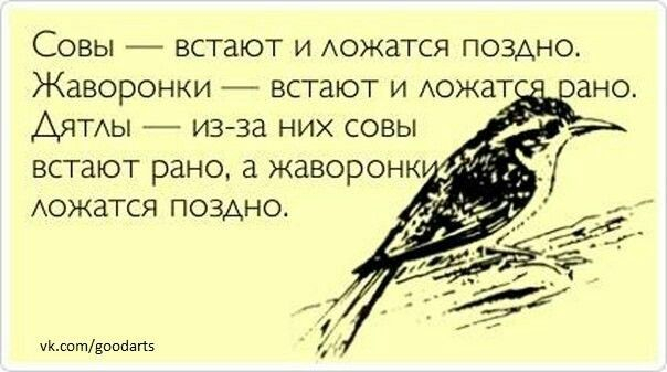 ����� �� ���� �� �� ���� ��� ���������?�