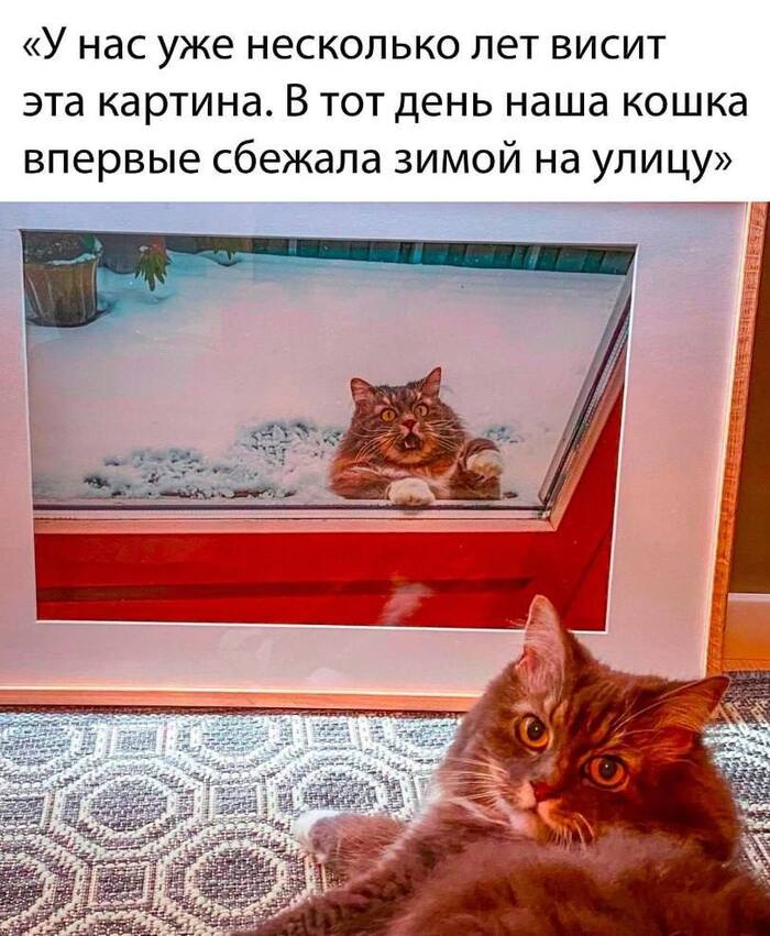 �� � ��������� ��������