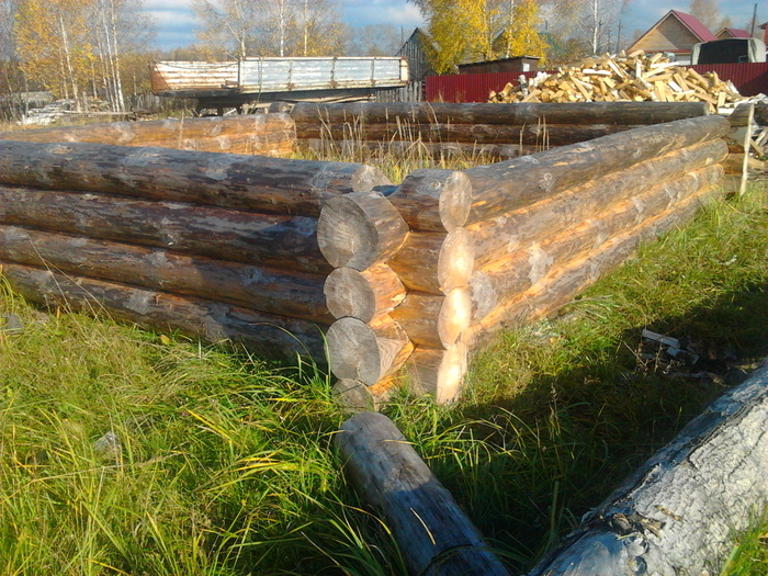 ���� ���� �� ������