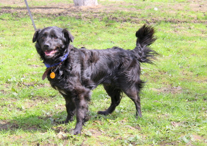 А я думал вы меня домой забрали, а вы к каким-то собакам меня привезли! Я протестовал