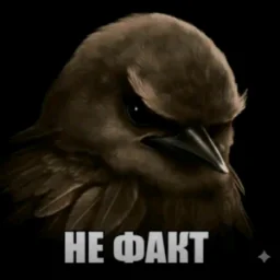 NeFakT666