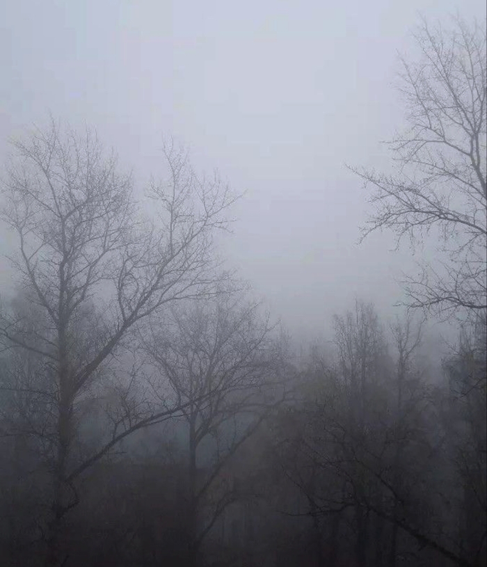 ������� �������� ������. ���������� �����