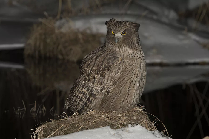 ���, ���. �����, ��� ������ ������ ��� �� �����?