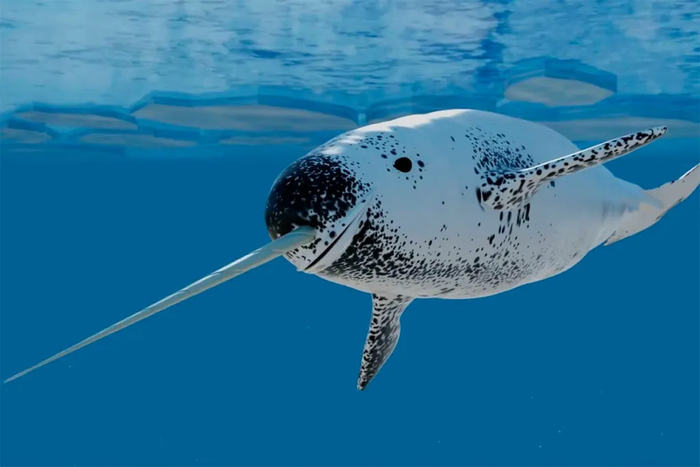 �������� ���� ����������? ����������.