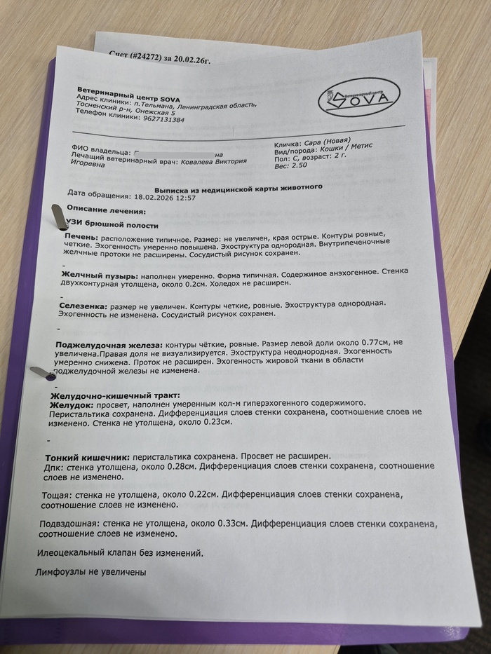 ���������� ���