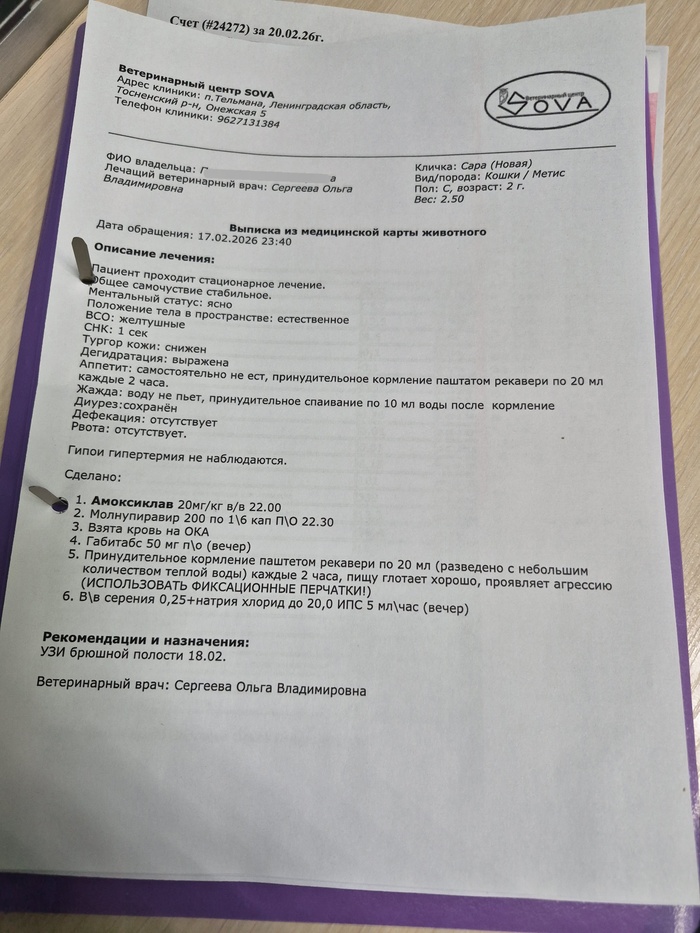 �������� �������